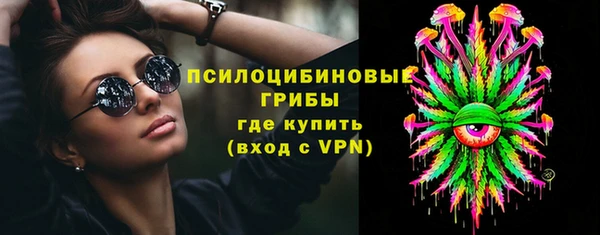 гашик Арсеньев
