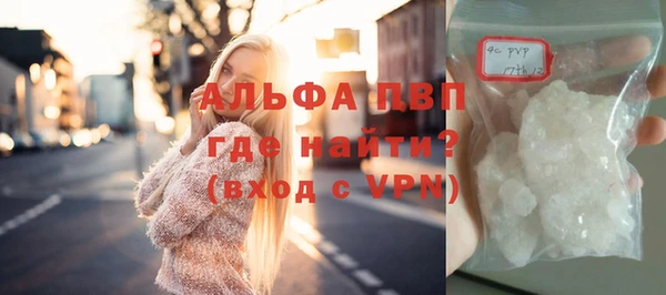 гашик Арсеньев