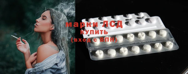 гашик Арсеньев