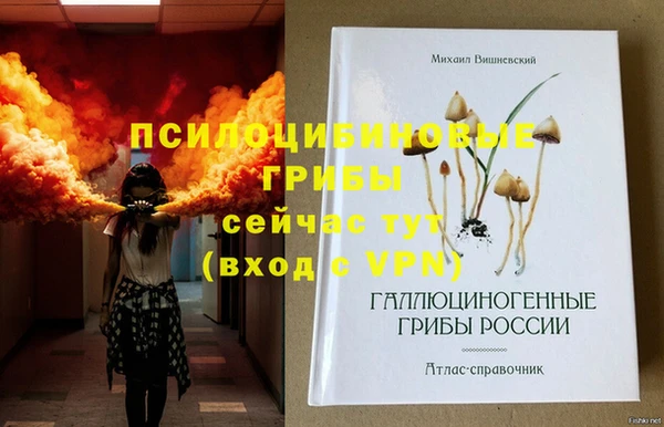 гашик Арсеньев