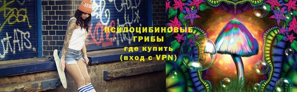apvp Аркадак