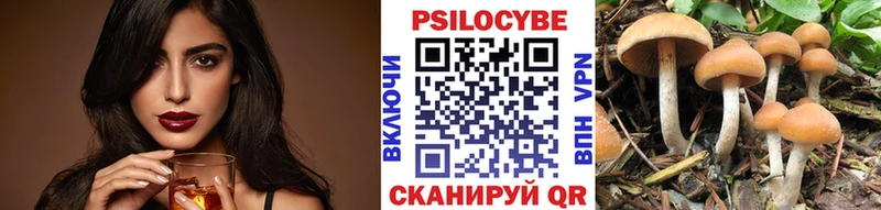 площадка телеграм  Таштагол  Галлюциногенные грибы Psilocybe  MEGA ONION 