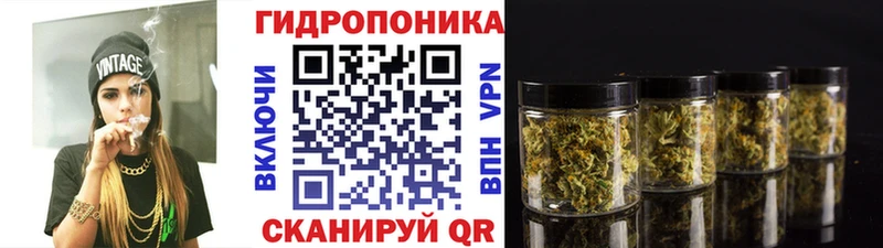 Бошки Шишки конопля  mega зеркало  Таштагол 
